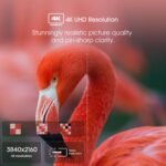 Hisense 55" A6 Series 4K UHD Smart Google TV, Dolby Vision, 55A6H - Image 9